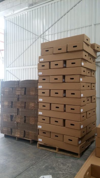 CAJAS DE CARTON CORRUGADO